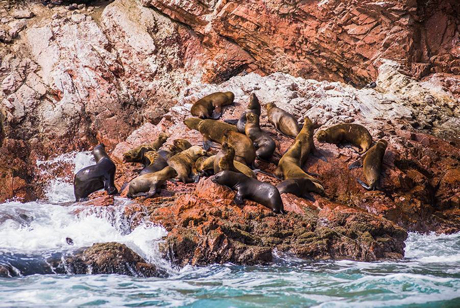 Islas Ballestas